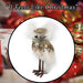 Christmas Velvet Owl Decoration 15cm x 9cm Green X 1