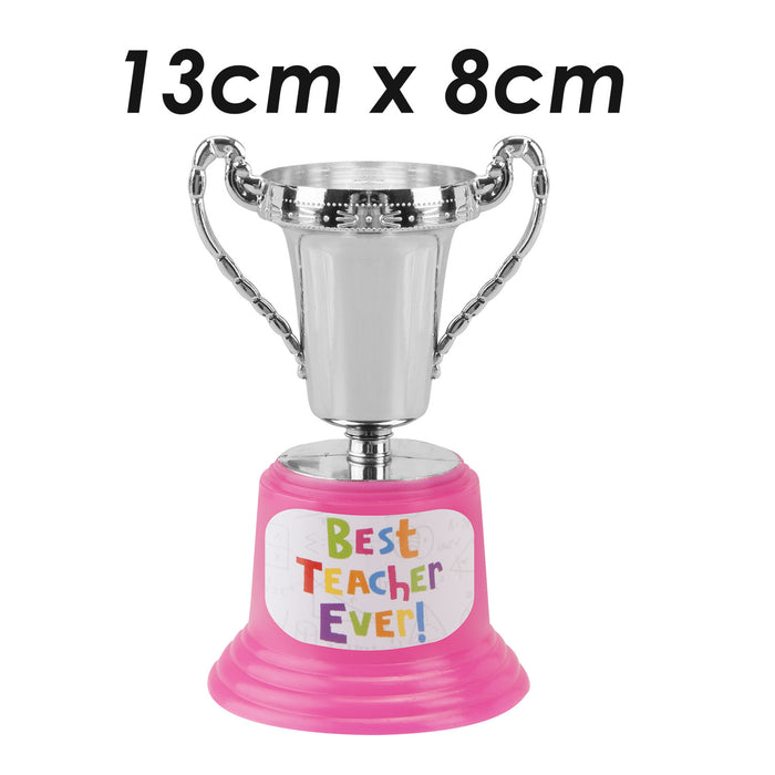 Best Teacher Trophy School End of Year Gift Novelty Fun Present  Silver