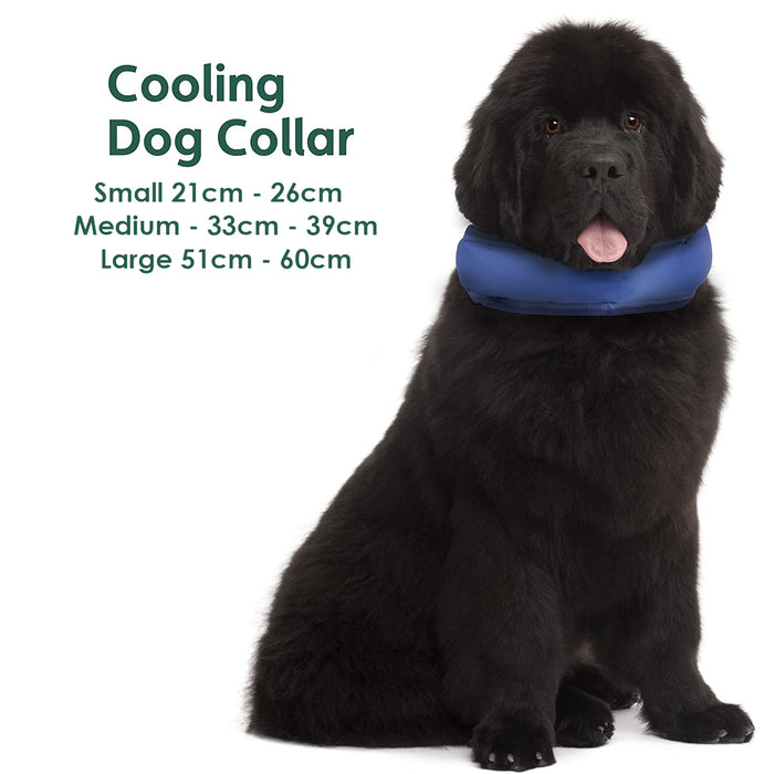 Crufts - Pet Self Cooling Gel Dog Collars 33cm-39cm (Medium)