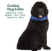 Crufts - Pet Self Cooling Gel Dog Collars 33cm-39cm (Medium)