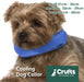 Crufts - Pet Self Cooling Gel Dog Collars 33cm-39cm (Medium)