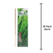 Citronella Incense Stick Natural Insect Repellent, Summer Evening