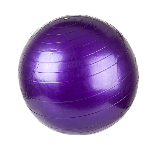 Exercise Ball Hand Pump Included 55cm x 55cm Purple X 1