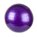 Exercise Ball Hand Pump Included 55cm x 55cm Purple X 1