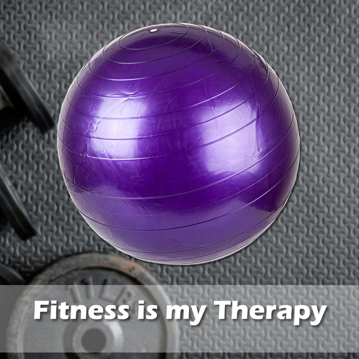 Exercise Ball Hand Pump Included 55cm x 55cm Purple X 1