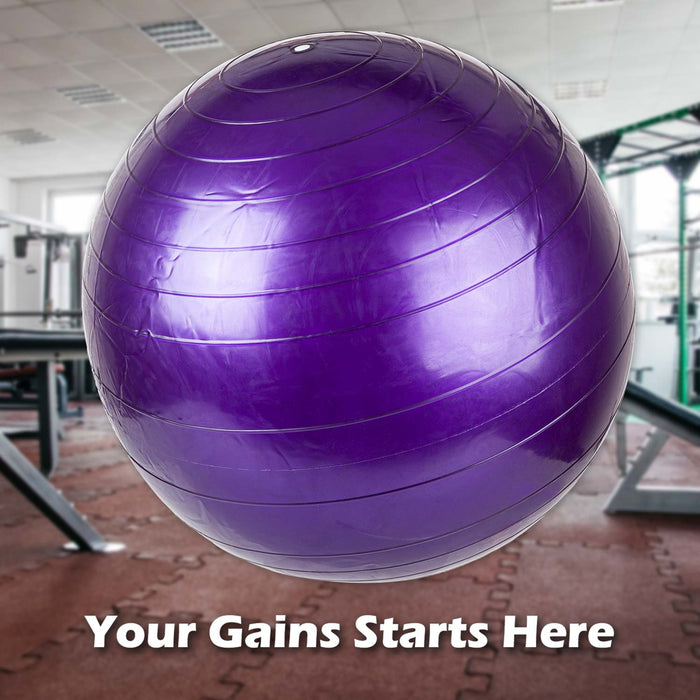 Exercise Ball Hand Pump Included 55cm x 55cm Purple X 1