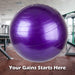 Exercise Ball Hand Pump Included 55cm x 55cm Purple X 1