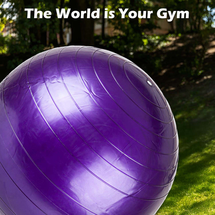 Exercise Ball Hand Pump Included 55cm x 55cm Purple X 1