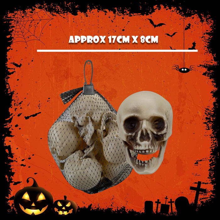 Halloween Skulls Decoration Pack Trick or Treat Party 17cm White