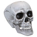 Large Skull Decoration with Moving Jaw Trick or Treat Party 19cm White