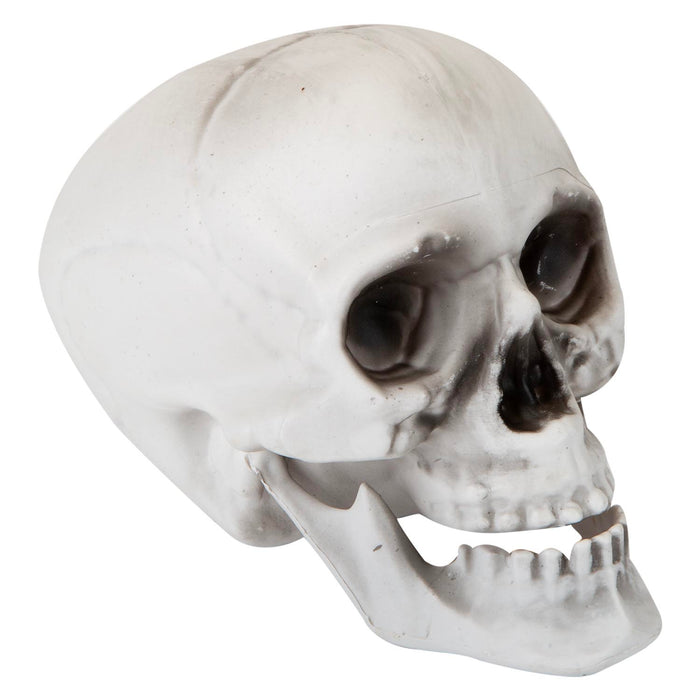 Halloween Skull With Moving Jaw Decoration | Party Accessories | White