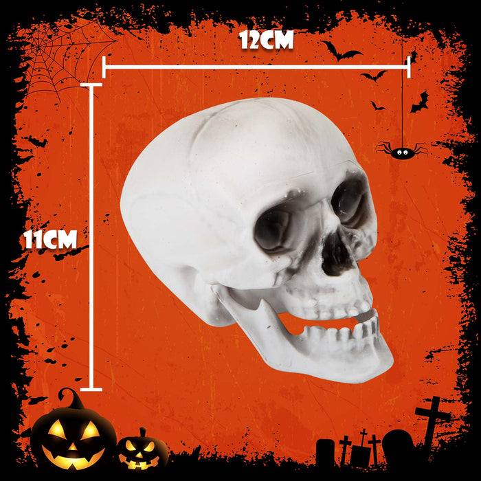 Halloween Skull With Moving Jaw Decoration | Party Accessories | White