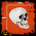 Halloween Skull With Moving Jaw Decoration | Party Accessories | White
