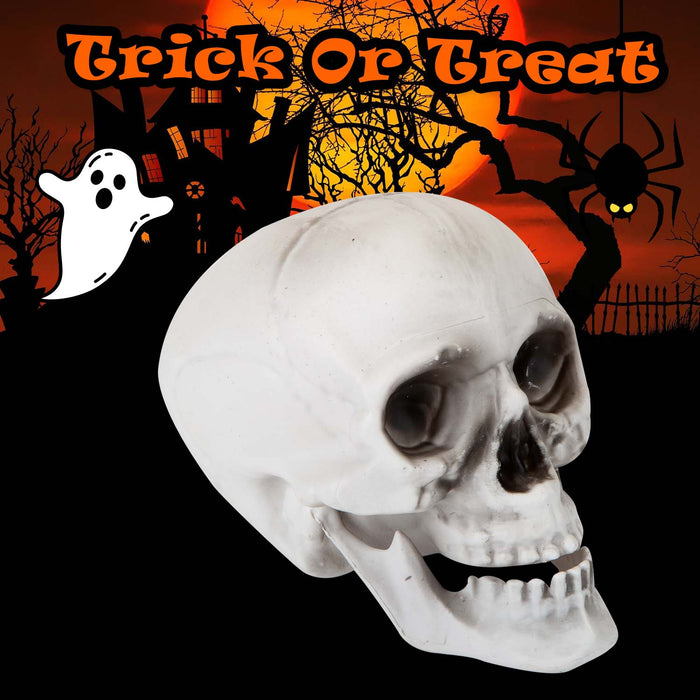 Halloween Skull With Moving Jaw Decoration | Party Accessories | White
