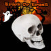 Halloween Skull With Moving Jaw Decoration | Party Accessories | White