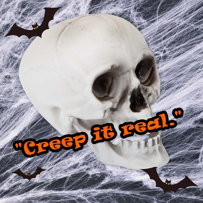 Halloween Skull With Moving Jaw Decoration | Party Accessories | White