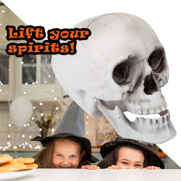 Halloween Skull With Moving Jaw Decoration | Party Accessories | White