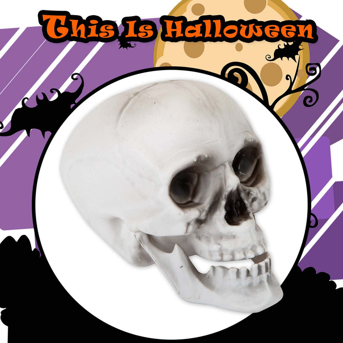 Halloween Skull With Moving Jaw Decoration | Party Accessories | White