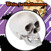 Halloween Skull With Moving Jaw Decoration | Party Accessories | White