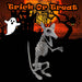 Halloween Skeleton Rat Decoration | Party Accessories | White