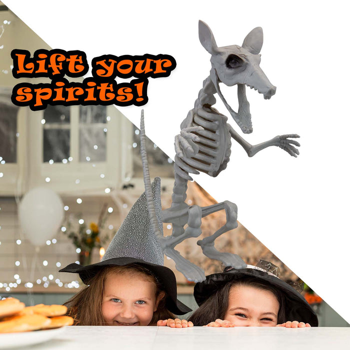 Halloween Skeleton Rat Decoration | Party Accessories | White