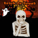 Halloween Skeleton LED Decoration Tray | Party Accessories | White