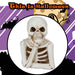 Halloween Skeleton LED Decoration Tray | Party Accessories | White