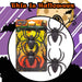 Halloween Spiders Decoration Trick or Treat 14cm x 10cm x 2cm Black Glitter