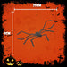 Halloween Giant Fury Spider Decoration | Party Accessories | Black