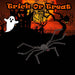 Halloween Giant Fury Spider Decoration | Party Accessories | Black