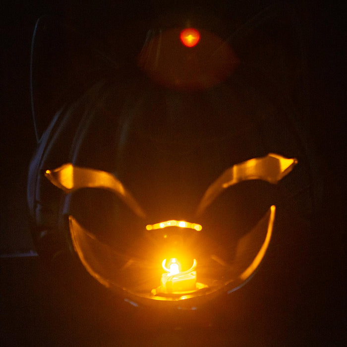 Halloween Black Cat Light Up Pumpkin | Party Accessories | Black