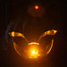 Halloween Black Cat Light Up Pumpkin | Party Accessories | Black