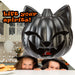 Halloween Black Cat Light Up Pumpkin | Party Accessories | Black