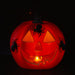 Halloween Light Up Spider Pumpkin | Party Accessories | Orange