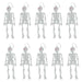 Halloween Glow Skeletons 10 Pack | Party Accessories | 10 Pack