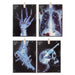 Halloween X-Ray Garland Decoration | Party Accessories | Multi