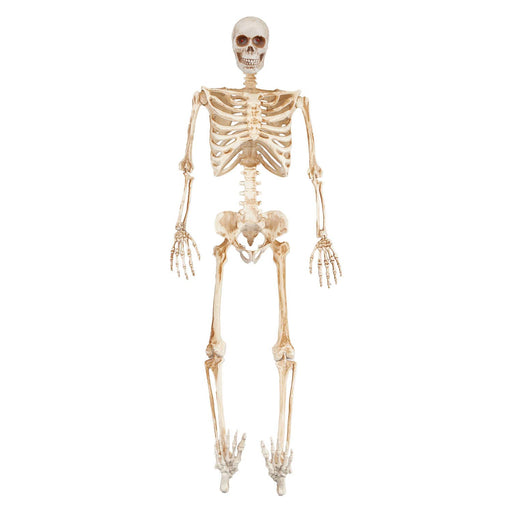 Halloween Skeleton Decoration with LED Eyes Trick or Treat Party 36 Inch White