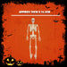 Halloween Skeleton Decoration  LED Eyes Trick or Treat Party 36 Inch