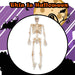 Halloween Skeleton Decoration with LED Eyes Trick or Treat Party 36 Inch White