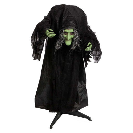 Halloween Animated Witch Decoration Party, Trick or Treat