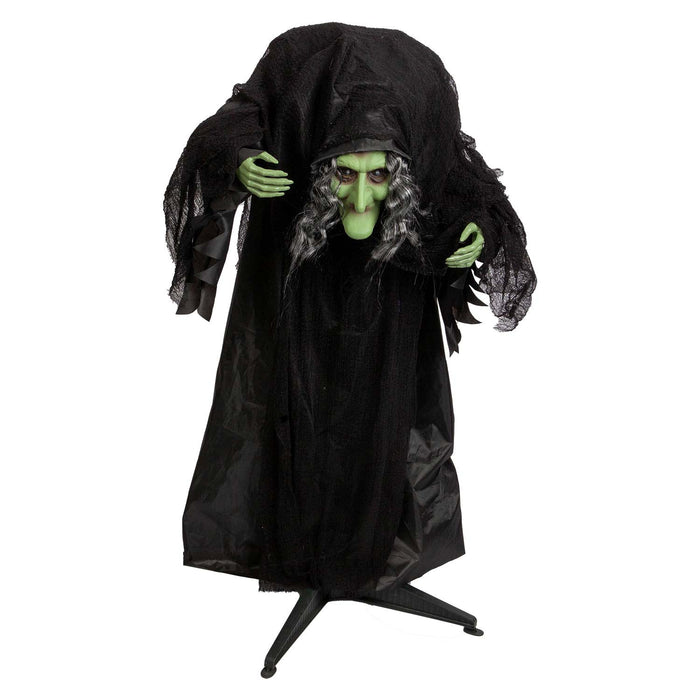 Halloween Animated Witch Decoration Party, Trick or Treat