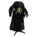 Halloween Animated Witch Decoration Party, Trick or Treat