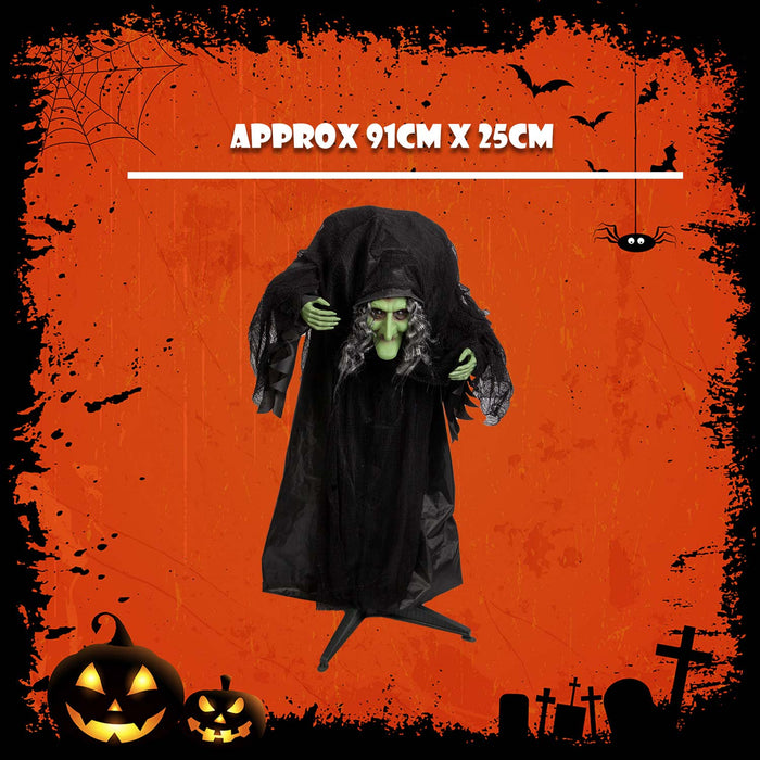 Halloween Animated Witch Decoration Party, Trick or Treat