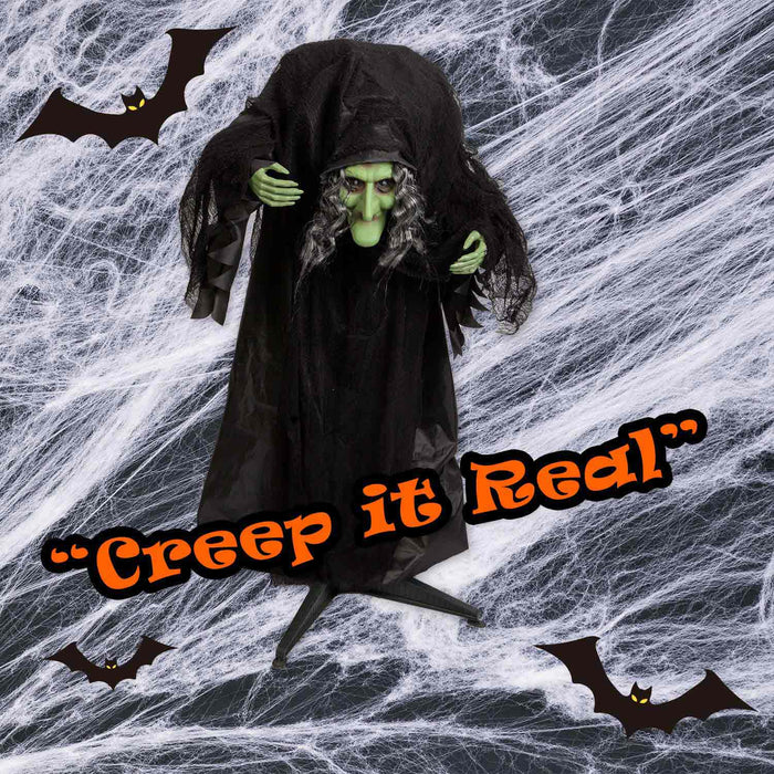 Halloween Animated Witch Decoration Party, Trick or Treat