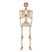 Giant 7ft Halloween Skeleton Hanging Decoration Trick or Treat Party White