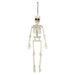 Halloween Hanging 40cm Skeleton Decoration | Party Accessories | White