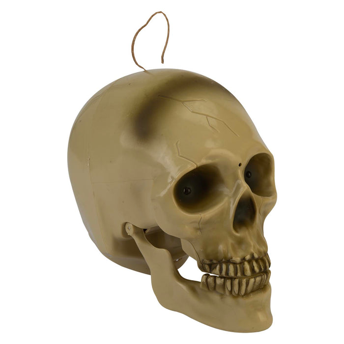 Halloween Animated Light Up Talking Skull | Party Accessories | White