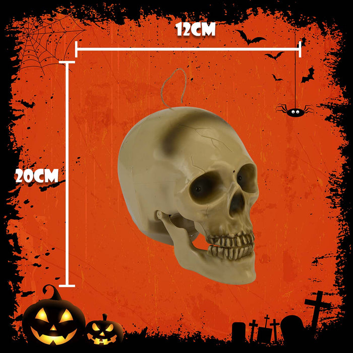 Halloween Animated Light Up Talking Skull | Party Accessories | White