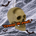 Halloween Animated Light Up Talking Skull | Party Accessories | White