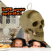 Halloween Animated Light Up Talking Skull | Party Accessories | White